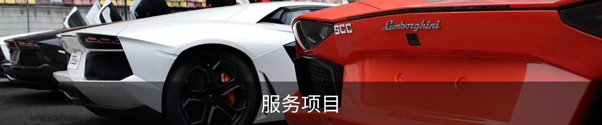 服务项目